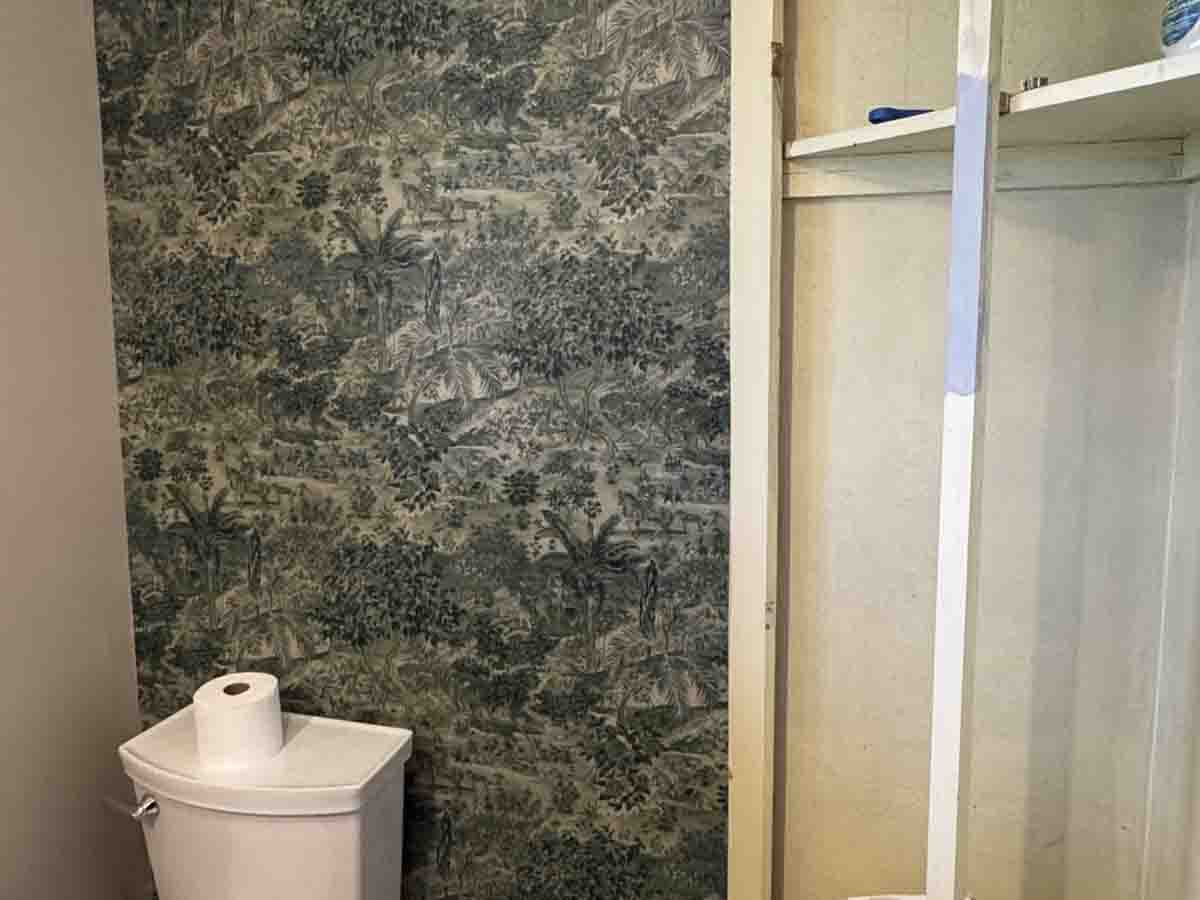 Non woven wallpaper installation bathroom toilet accent wall detailed pattern Denver metro area